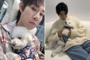 夏和熙愛犬病危收醫生通知!「奇蹟康復」樂觀看待:多活一天都是賺到