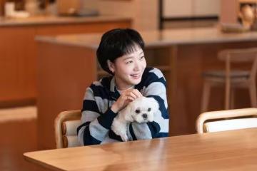 《柔美3》金高銀戀愛腦全死 遇小10歲鮮肉「最愛火車戲」