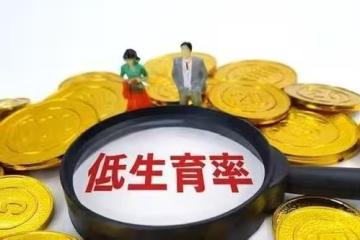 廈門教授：生娃率低迷，養老金或需下調,網友炸鍋