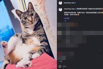 夏于喬「孕後期不容易」 看書也不舒服⋯PO一真實寫照：最近的狀態
