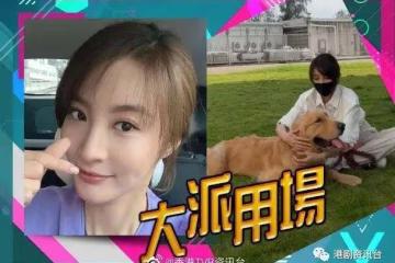林夏薇新劇演獸醫!養狗經驗大派用場