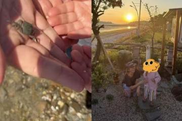 孫藝真一家三口海邊約會!玄彬「寵兒舉動曝光」網羨慕:太有愛