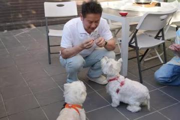 徐乃麟私下竟是超級狗奴「親手擠肛門腺」！　曝母痛失愛犬心碎往事