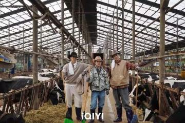 人設不能塌！金宇彬《豆豆農場》「盛裝打扮清牛糞」李光洙爆氣