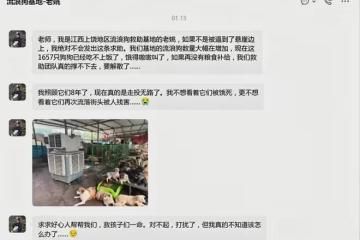 抱歉了各位,團隊準備解散了!