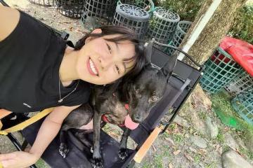 被酸蹭受虐犬流量！　米可白反擊曝收入來源：我不需要靠這些