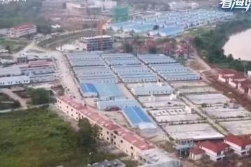野草割不盡:從KK園到三佛塔看東南亞電詐的「寄生」邏輯