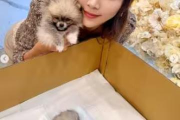 「化妝去愛犬告別式」挨轟還笑得出來！李宓PO崩潰一幕：我是專業演員