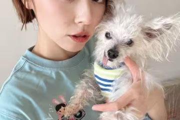王瞳領養受虐犬12年…它與病魔奮戰620天離世　淚曝：去找艾成了