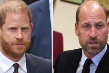 12英里的平行線:威廉與哈里的「無聲決裂」比宮斗劇更殘酷