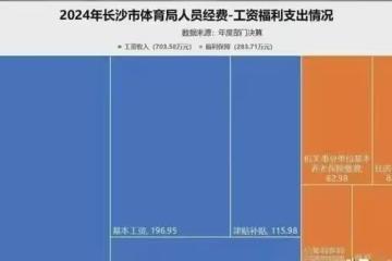 987萬養32人:長沙市體育局編制「含金量」背後的財政帳本與公平考量