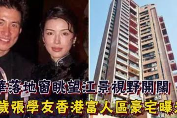 60歲張學友香港富人區豪宅曝光！豪華落地窗眺望江景「視野開闊」，把女兒臥室打造成「公主房」，客房都絲毫不懈怠