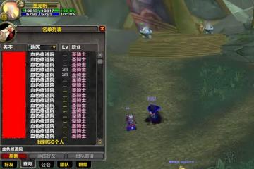 魔獸懷舊服:WLK兩大排骨職業,裝備便宜好進組,工作室批量起號