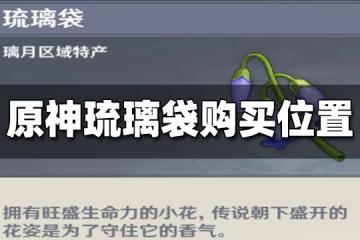 原神琉璃袋在哪購買 琉璃袋購買地點一覽