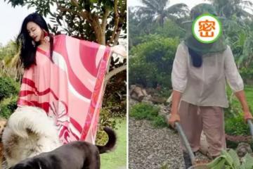 不會再結婚！55歲田麗打扮樸素像農民，豪擲千萬自建房「獨居農村」種80棵樹養6隻貓狗，鄉間生活無比自在！