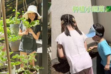 章子怡帶子女種菜 自家菜園大到像公園?