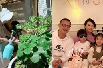 章子怡豪宅里種菜!超大菜園曝光,穿灰T恤配2萬元短褲,衣著清涼少女身材真窈窕,網友:差點叫人認不出