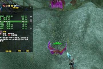 魔獸TBC：P5獵人2款必帶寵物，比掠食者更加全面，多一個進組保障