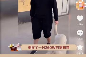 趙本山兒子豪擲260萬買狗，被質疑炫富敗家，霸氣回懟沒花爸爸錢