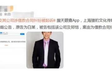 鄭愷因借款糾紛被起訴！公司曾被強制執行3300萬，嬌妻二胎剛生子