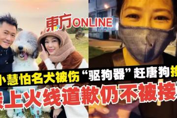 劉小慧怕名犬被傷「驅狗器」趕唐狗挨轟 親上火線道歉仍不被接受