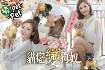 愛犬有異性無人性!蔡嘉欣樂做執「金」阿四