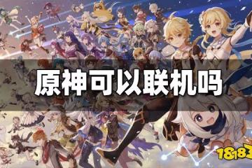 原神聯機模式介紹 原神能聯機嗎