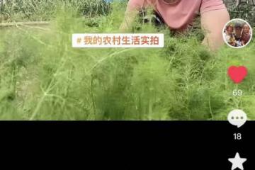 50歲實力演員在農村生活!下地幹活喂雞不修邊幅,日常騎摩托出行