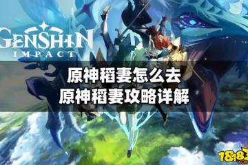 原神稻妻怎麼去 原神稻妻攻略詳解