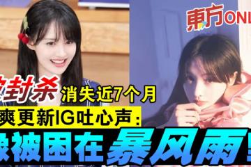 被封殺消失近7個月 鄭爽更新IG吐心聲:像被困在暴風雨里