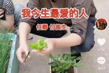 付笛生體驗農家生活，摘菜燒柴做大鍋飯，任靜戴玉鐲甜笑似少女