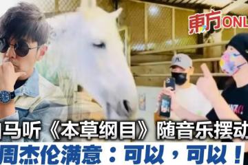 白馬聽《本草綱目》隨音樂擺動　周杰倫興奮：我有面子！