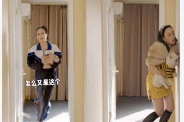 51歲鍾麗緹換裝險跌倒!給狗狗戴黃金項鍊,穿緊身包臀裙凹凸有致
