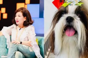 驚傳在家昏迷!陳文茜認了「被愛犬8分鐘救命」:沒想過是牠,醫師認證「關鍵1動作保命」