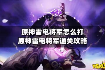 原神雷電將軍怎麼打 原神雷電將軍通關攻略