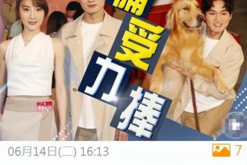 TVB培養26歲男星成一哥？連續主演5部新劇，被贊有周星馳的影子