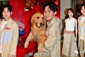 26歲TVB力捧小生五劇再手！與34歲新晉視後譜寫戀曲
