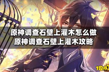 原神調查石壁上灌木怎麼做 原神調查石壁上灌木攻略