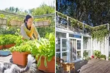 僅花130萬！53歲阿貝「因房價太貴」用6個貨櫃，為妻子造了一個60坪的「鄉間豪宅」，功能強大宛如「世外桃源」