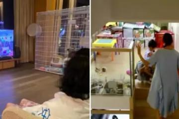 蔡少芬展示自己的家，一家五口擠在27坪的房子中，但這已經算「頂級豪宅」了！