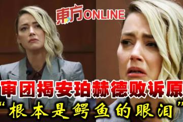 陪審團首度開腔解釋安珀赫德敗訴原因：根本是鱷魚的眼淚