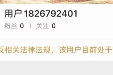 「網紅天王」王思聰成名10年後，天道好輪迴，誰又饒過誰？