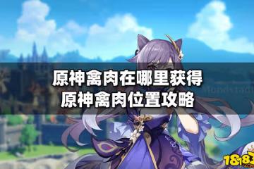 原神禽肉在哪裡獲得 原神禽肉位置攻略
