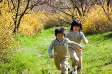 二十多年後，六指兒第一次叫了我一聲：巧姑