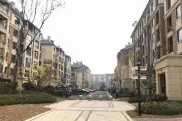母親去世一周,婆婆要大辦70歲大壽,兒媳:你真會挑時間,趕緊滾