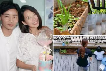 張晉曬蔡少芬在家種菜,上海豪宅意外被曝光,涼臺比別人客廳要大