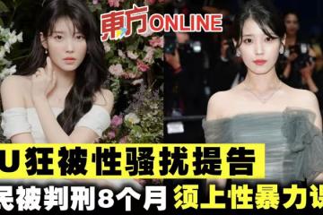 IU狂被性騷擾提告 酸民被判刑8個月須上性暴力防治課程