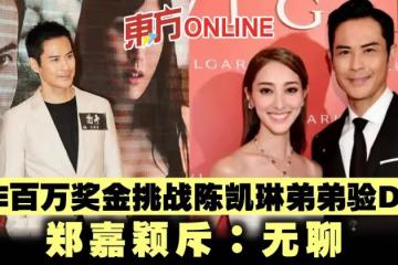 林作百萬獎金挑戰陳凱琳弟弟驗DNA　鄭嘉穎斥：無聊