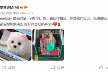 22歲女星愛犬航空託運意外死亡，悲痛發文求助，向泰航東航要說法