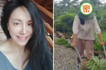 54歲田麗打扮樸素像農民,失婚後獨居農村,種80棵樹養6隻貓狗,如今更愛自己!